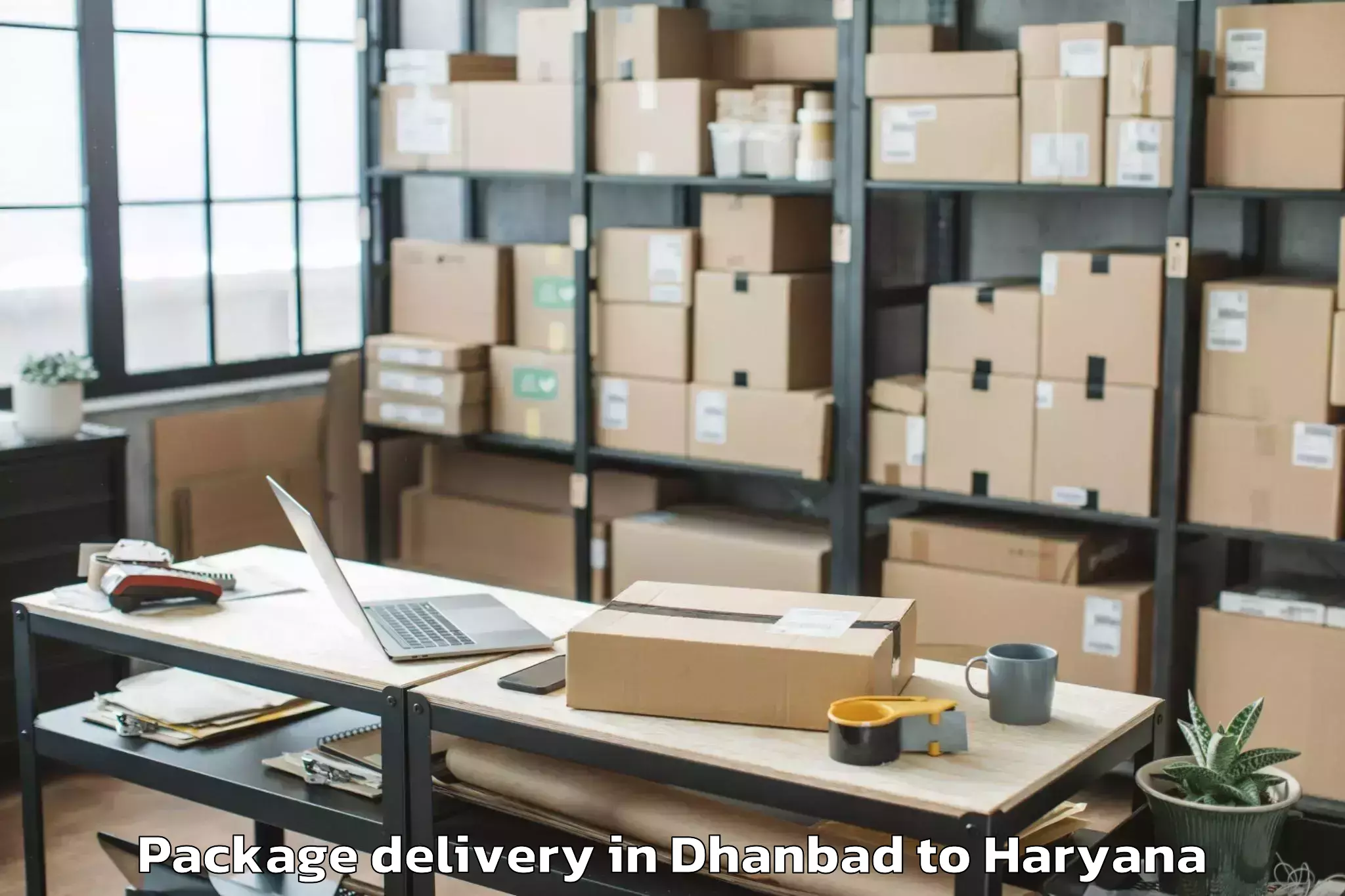 Book Dhanbad to Manav Rachna International Ins Package Delivery Online